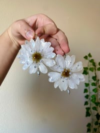 Image 1 of 🤍Moondew Pearl Daisies🤍