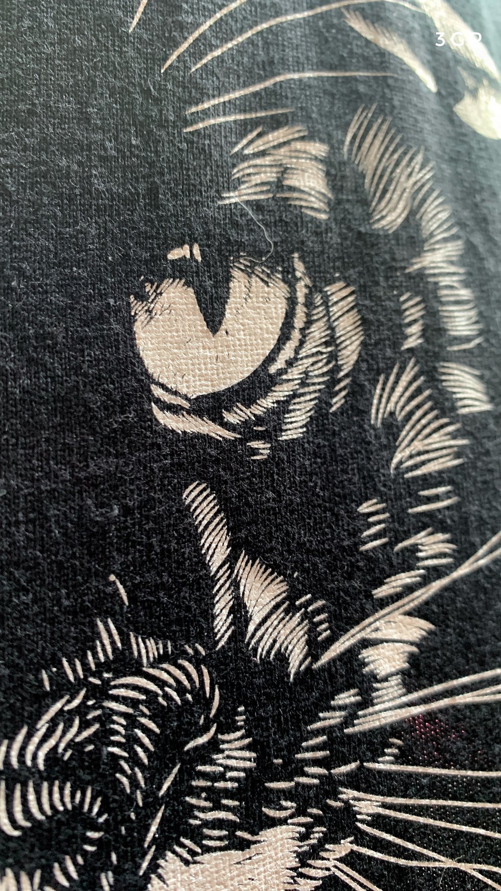 Image of Old cat printmaker