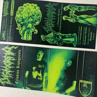 Image 3 of DISMORFIA - “Eclosion Repugnante” cassette