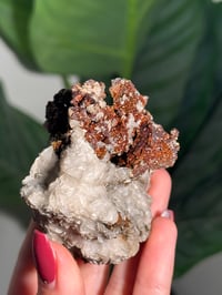 Image 4 of CHALCOPYRITE X CALCITE -MOROCCO- H