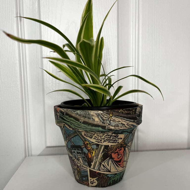 Star Wars Plant Pot Image 2