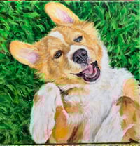 Image 3 of Dogs 