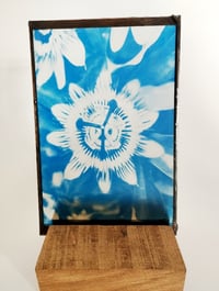 Image 4 of Cyanotype sur verre de Passion