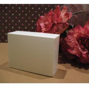 Image of 10 Pack - Plain Jane Soap Boxes - OUR STORE HAS GROWN!  SEE OUR NEW CATALOG!