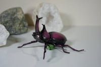 Image 2 of Japanese Rhino Beetle