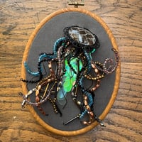 Image 1 of Snake skin jellyfish (5x7 inches) 