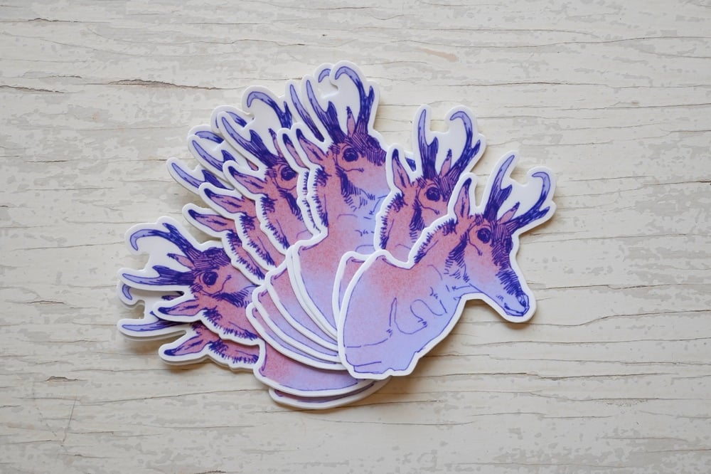 Pronghorn Antelope Sticker