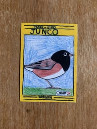 Dark-eyed Junco. Single Card
