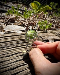 Image 5 of Ashes of the Deep