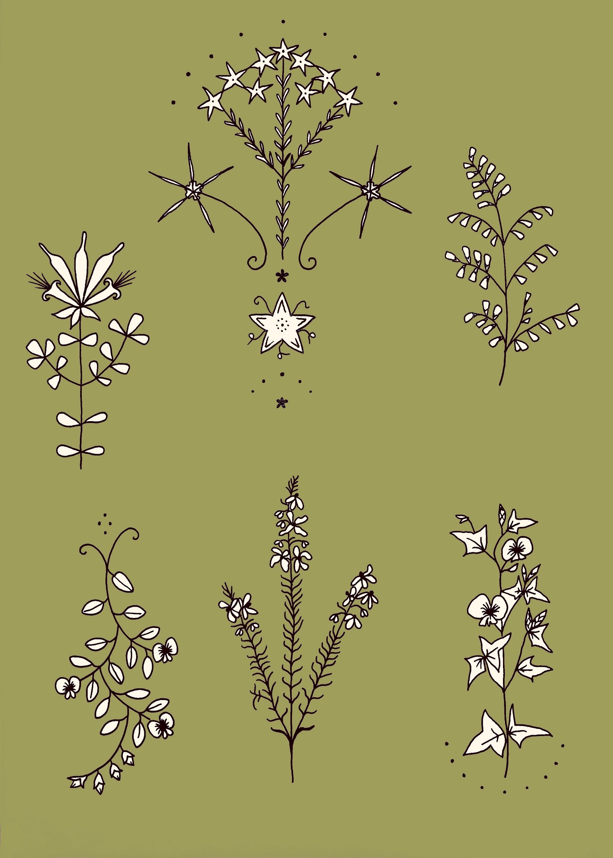 Image of ‘Platylobium obtusa’ tattoo design