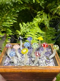 Image 1 of Mushroom Plant Ornaments 🍄 🪴 (UV reactive)