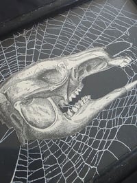 Image 3 of ANTIQUE ANATOMICAL ANIMAL COLLECTION - & Preserved web 9