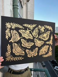 Image 1 of Print A3 • Golden butterflies