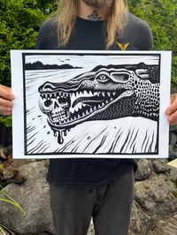 Crocodile