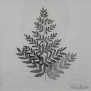 Image 2 of £50 originals - Royal Fern , pointillism