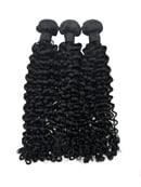 Image 1 of Italian Curly 