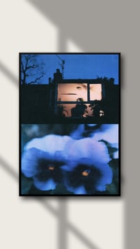 Image 2 of PANSY, BLUE NIGHT II
