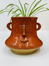 Image 2 of Annarose- Pothead