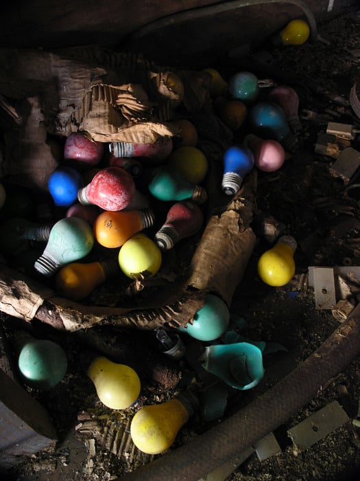 Image of Rainbow Bulbs