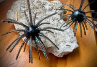 Image 2 of “SWEETGUM” - BLACK / BLUE