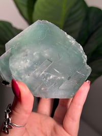 Image 10 of XL TEAL CUBIC FLUORITE -CHINA-