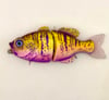 Blue Collar Gill Small Mouth Candy 2
