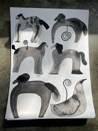 Horses