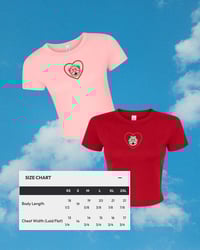 Image 4 of Simi Love Baby Tee - Summer Micro Embroidered Top