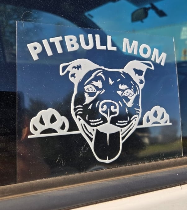 Image of PitBull Mom or Pitbull Daddy
