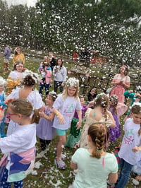 Image 4 of Princess, unicorn tea party, meet and greet with princesses, snow fall, unicorn rides. 