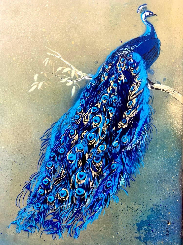 Image of Peacock