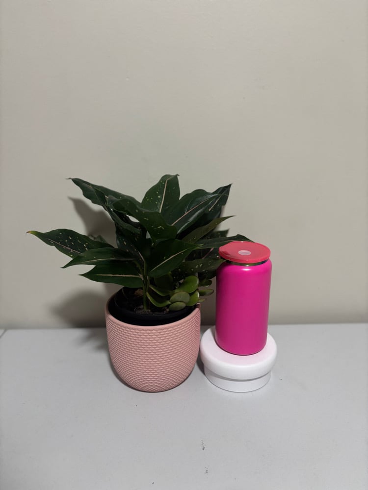 Powder Coated Libby Can - Rainbow Plated