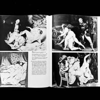 Image 14 of FASCINATION #6