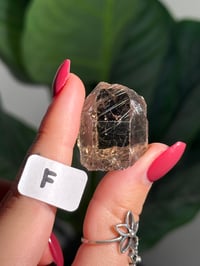 Image 6 of CHOOSE YOUR OWN MINI RUTILE SMOKEY QUARTZ POINTS (NATURAL UNPOLISHED POINTS) -BRAZIL- LOT 1