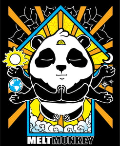 Image of Cosmic Panda