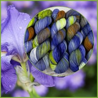 Image 1 of Apothecary