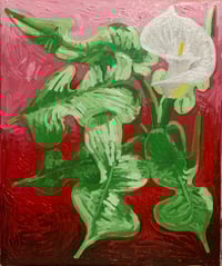 Image 2 of “Arum Lilly study 2”