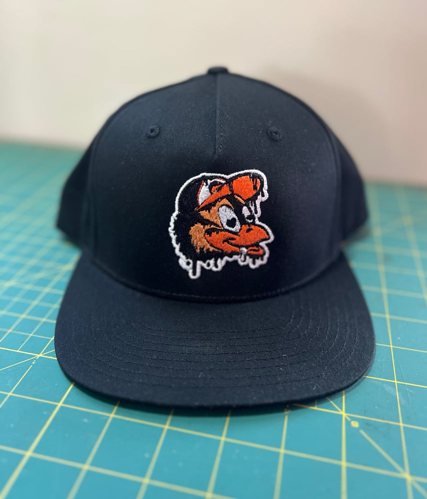 Image of Drippy Bird SnapBack Hat