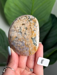 Image 5 of XL CHOOSE YOUR OWN ORBICULAR VEINLESS OCEAN JASPER PALM STONES -MADAGASCAR- 