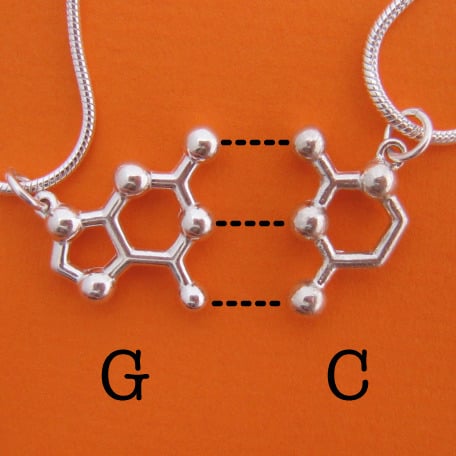 Image of DNA/RNA friendship necklaces