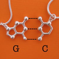 Image 1 of DNA/RNA friendship necklaces