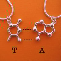 Image 3 of DNA/RNA friendship necklaces