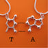 DNA/RNA friendship necklaces Image 3