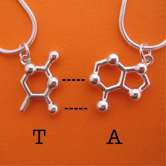 DNA/RNA friendship necklaces Image 3