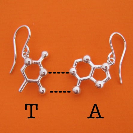 Image of DNA/RNA base pair earrings