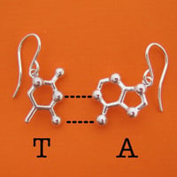 Image 1 of DNA/RNA base pair earrings