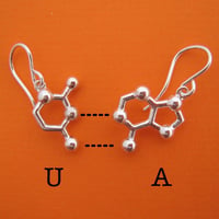 Image 2 of DNA/RNA base pair earrings
