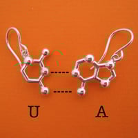 Image 2 of DNA/RNA base pair earrings