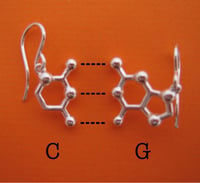 Image 3 of DNA/RNA base pair earrings