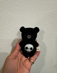 Skully Mini Bear
